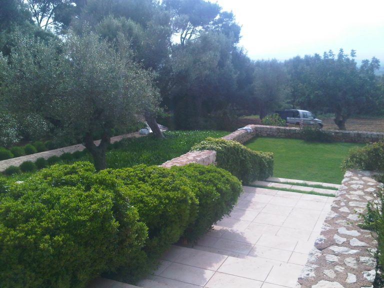 IMG00999-20110419-1732