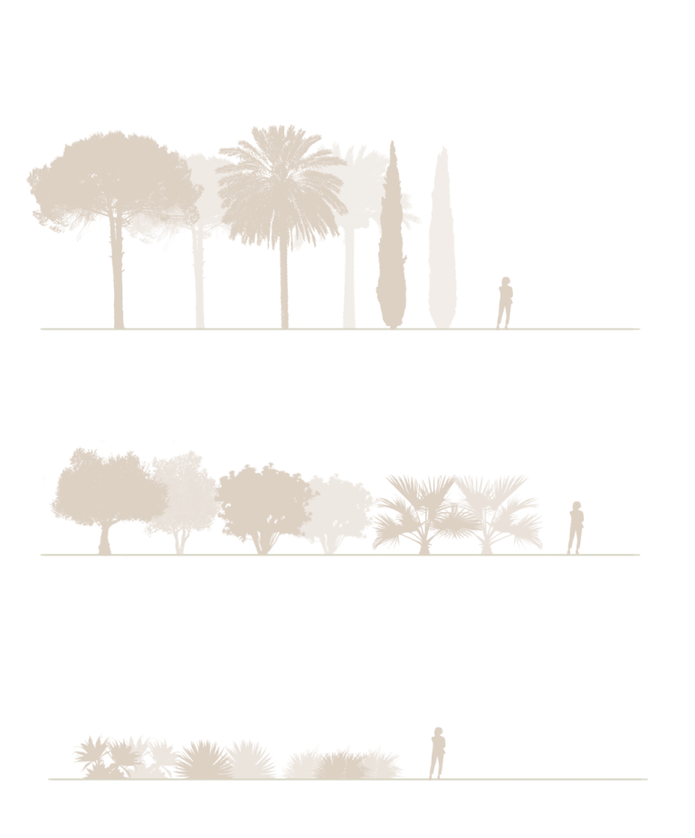 estratos_sara